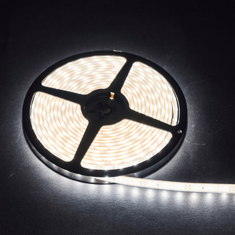 Striscia LED bobina 5m